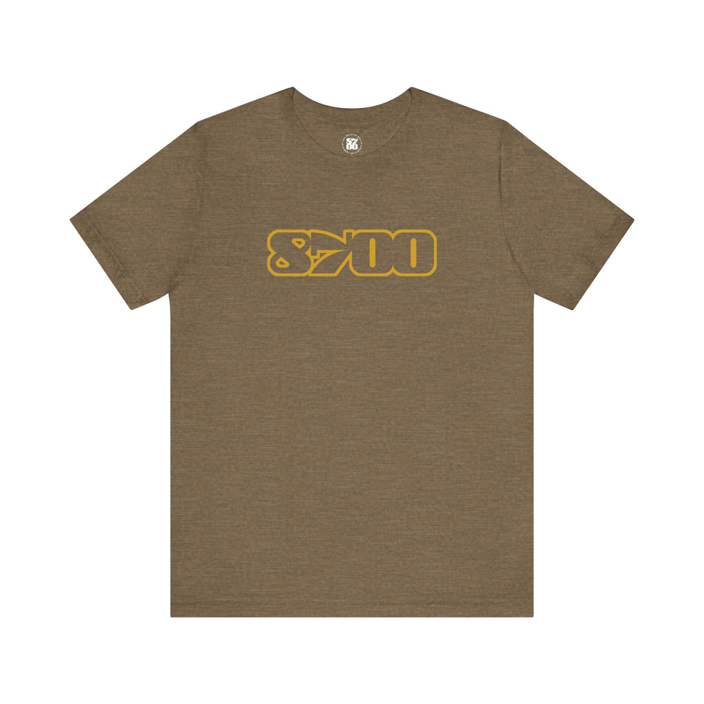 TS-8700.3Y