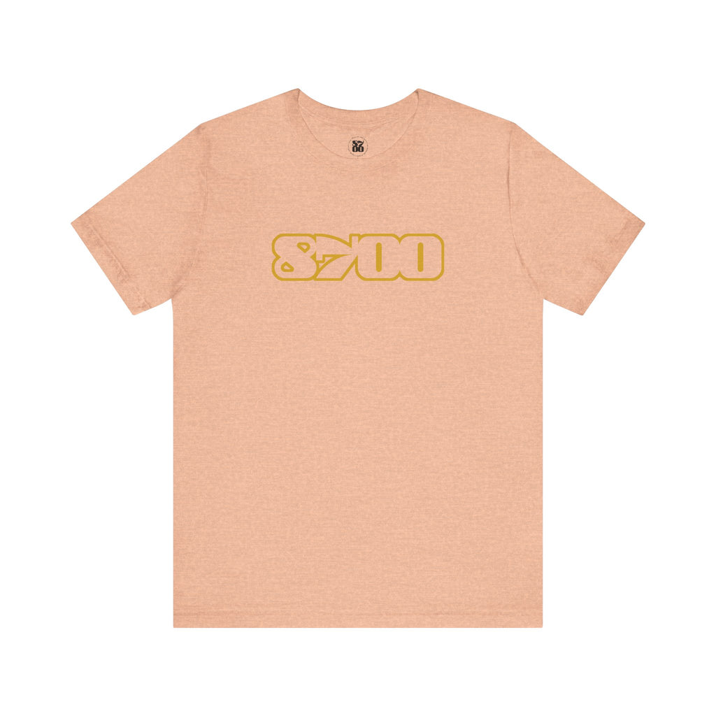 TS-8700.3Y