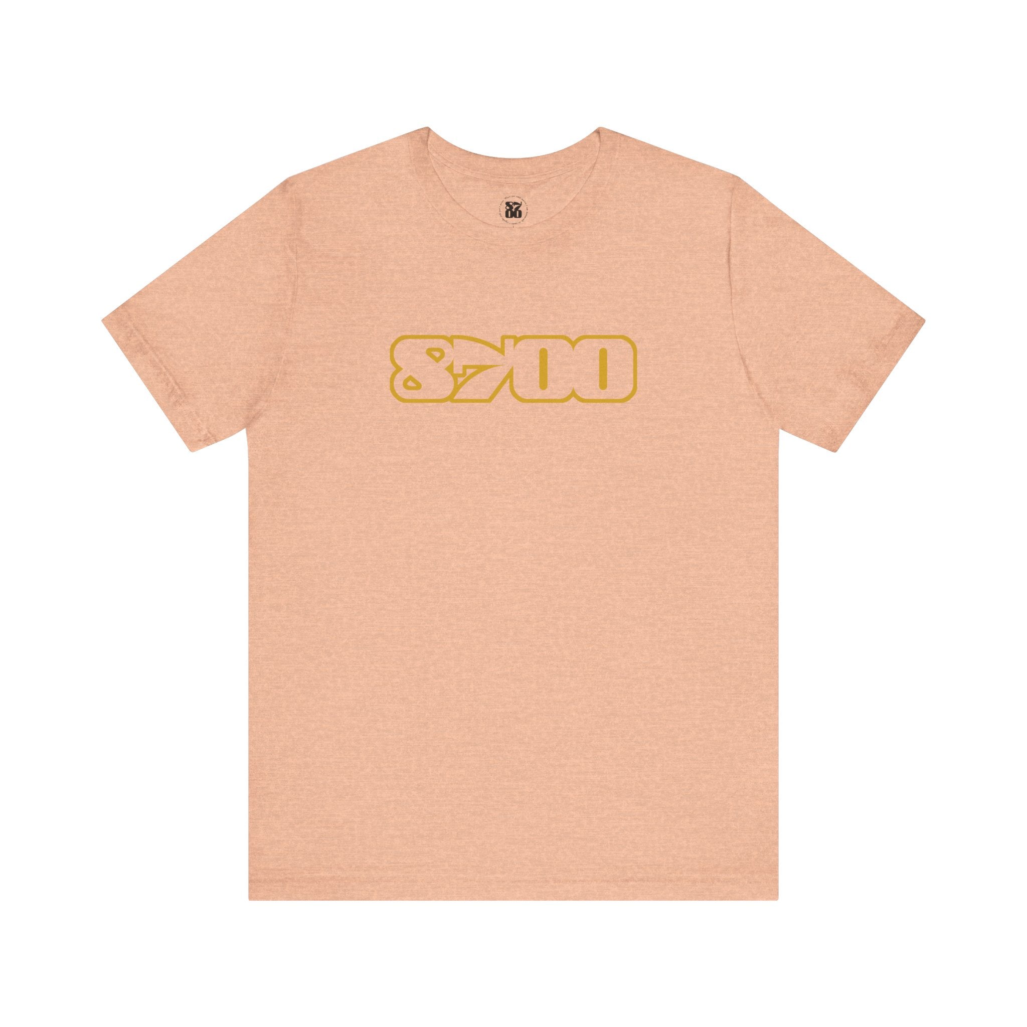 TS-8700.3Y