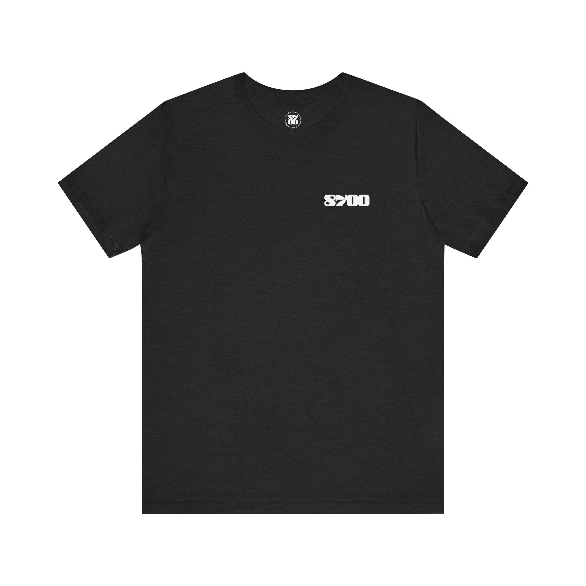 TS-8700.2W