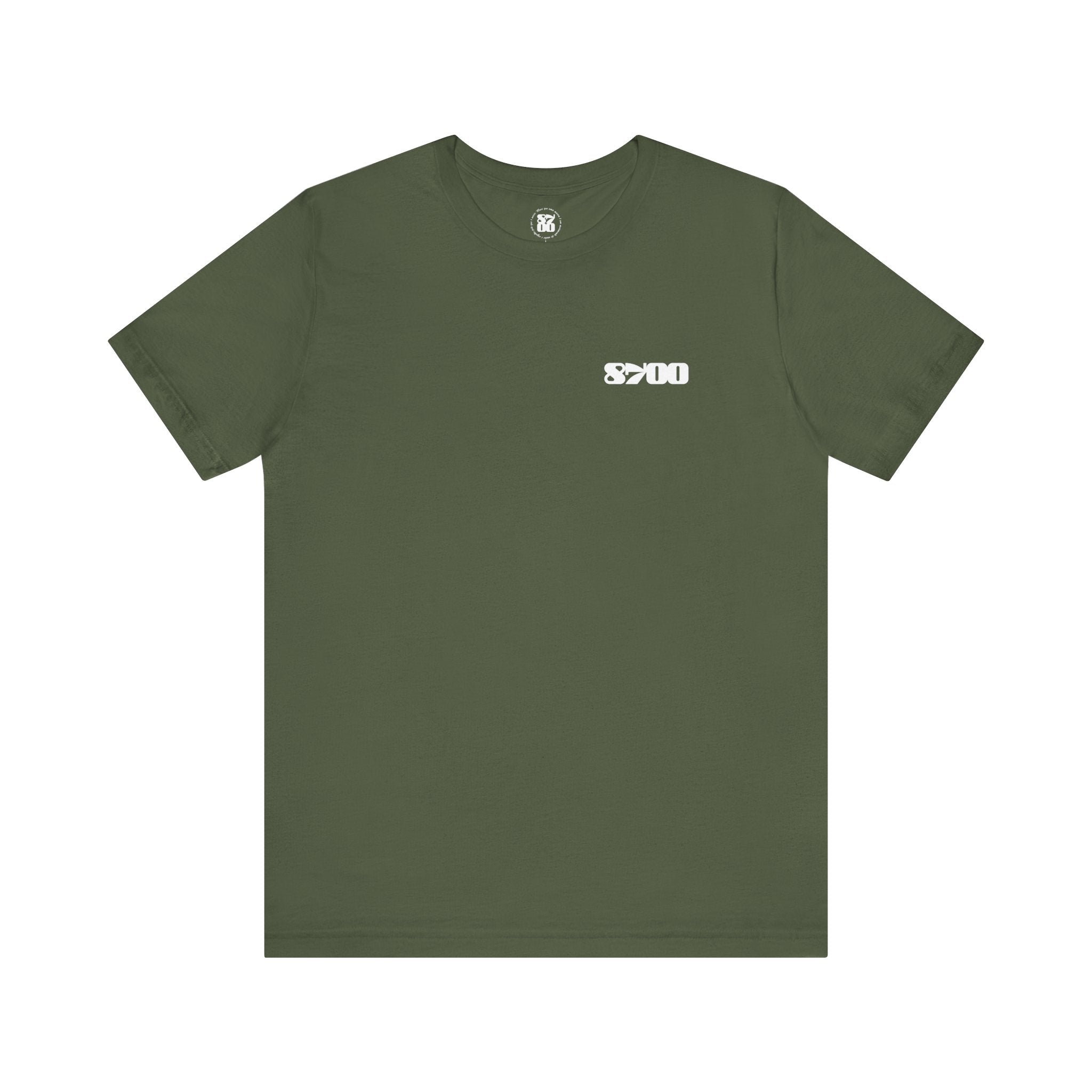 TS-8700.2W