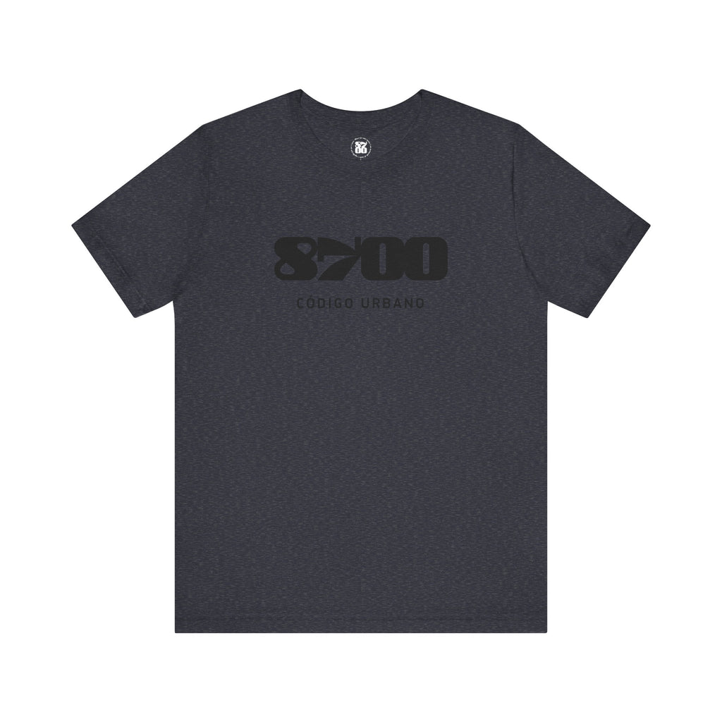 TS-8700.1B