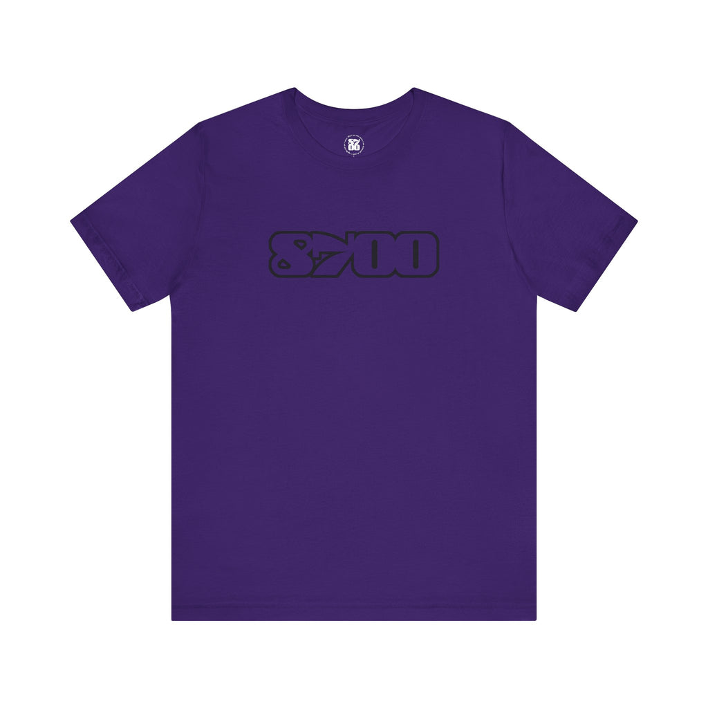 TS-8700.3B