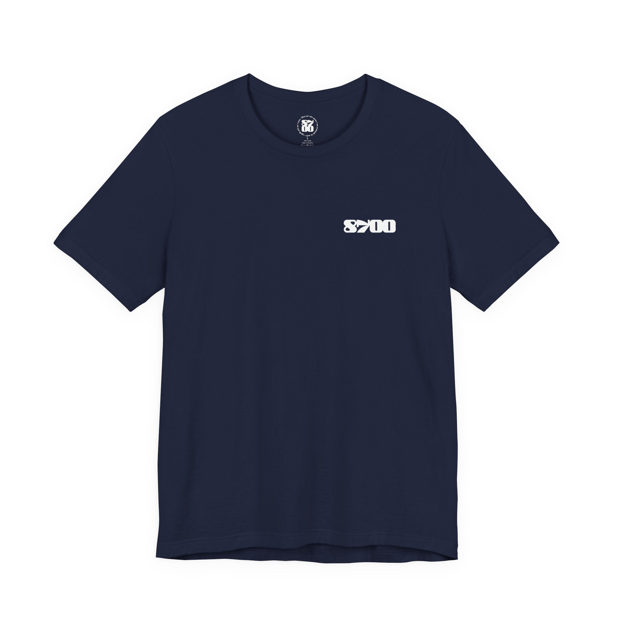 TS-8700.2W