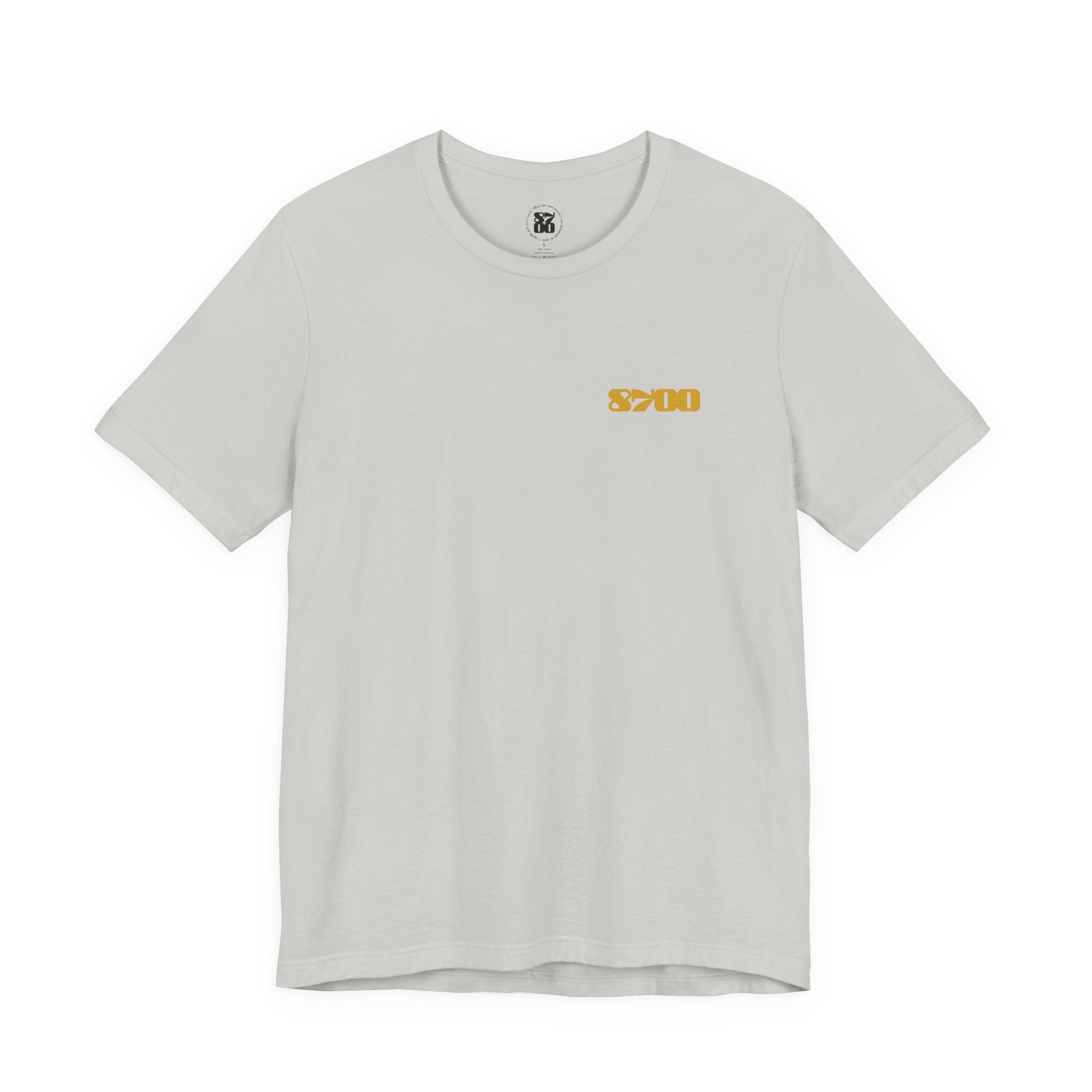 TS-8700.2Y