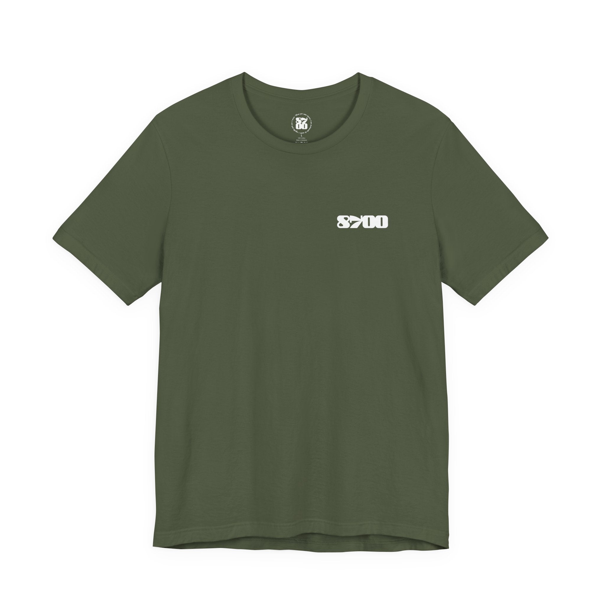 TS-8700.2W