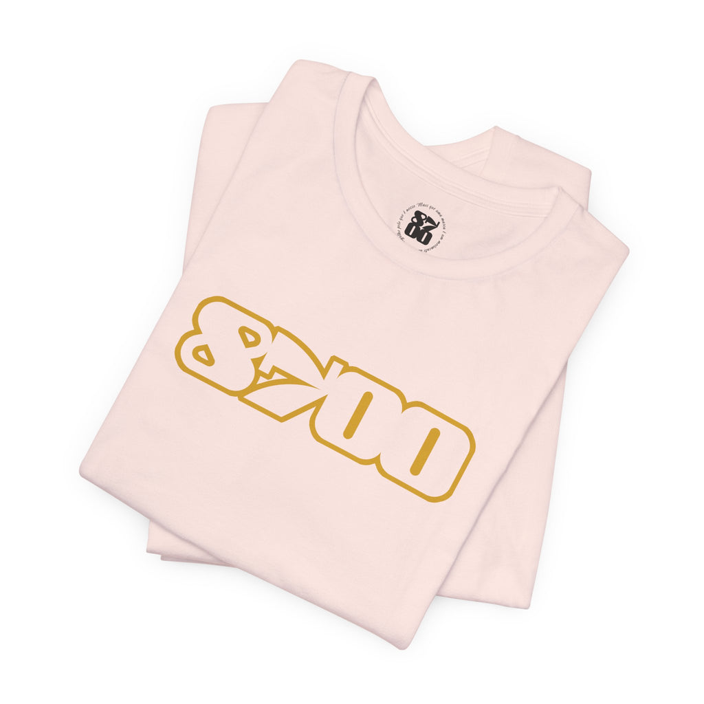TS-8700.3Y