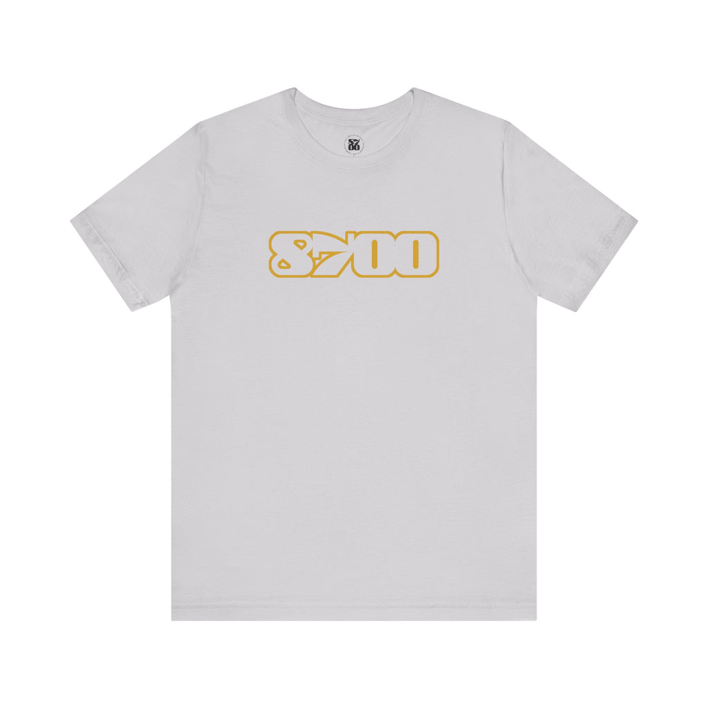 TS-8700.3Y