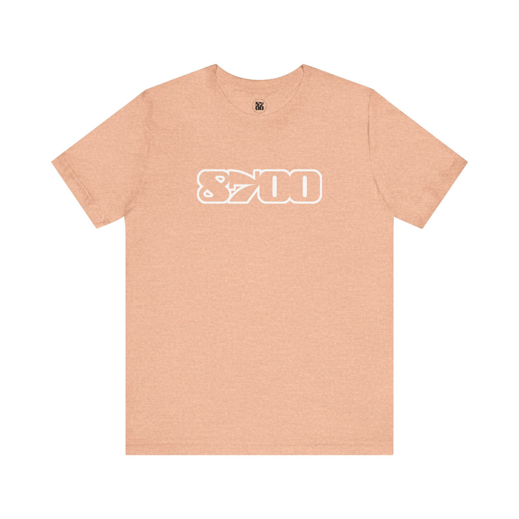 TS-8700.3W