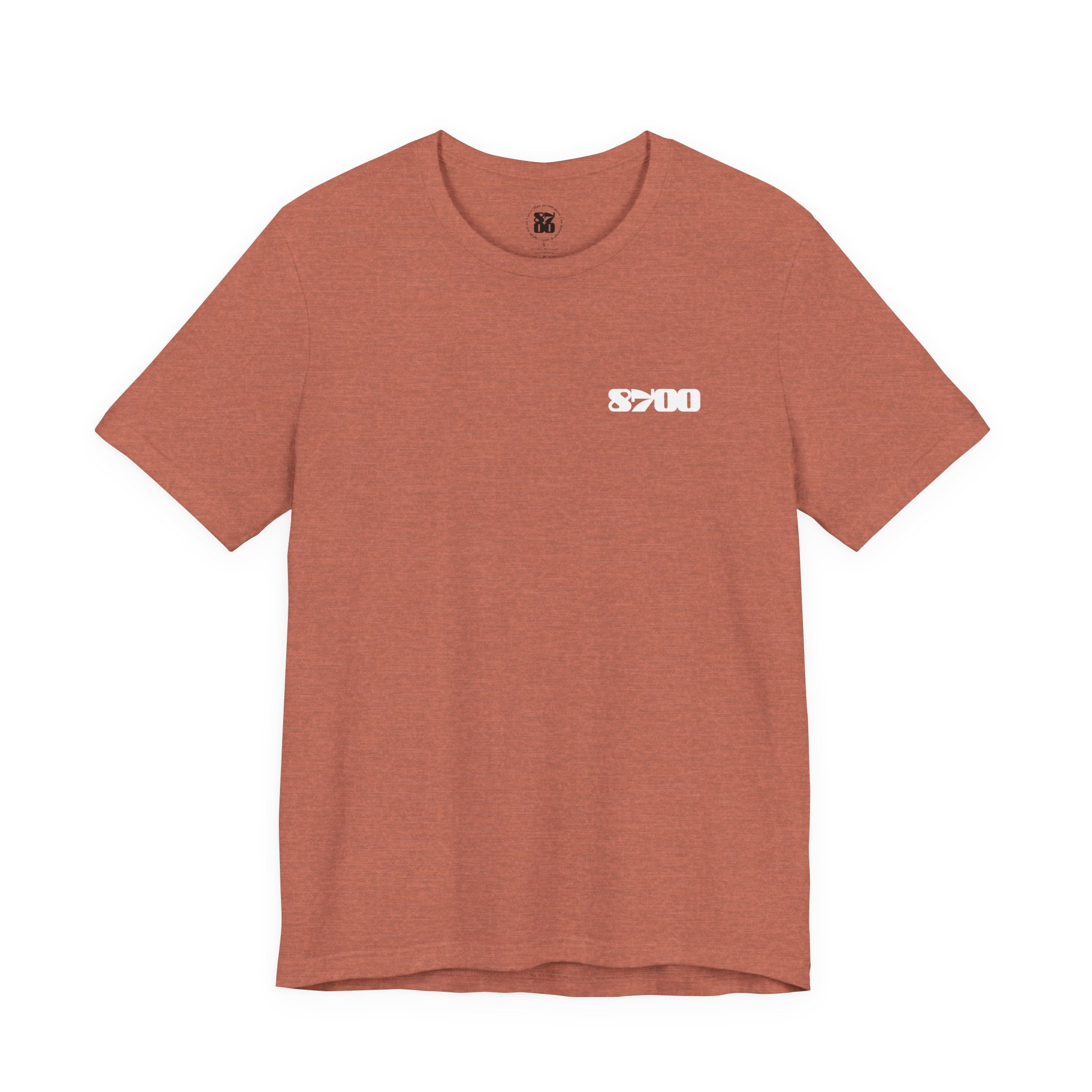 TS-8700.2W