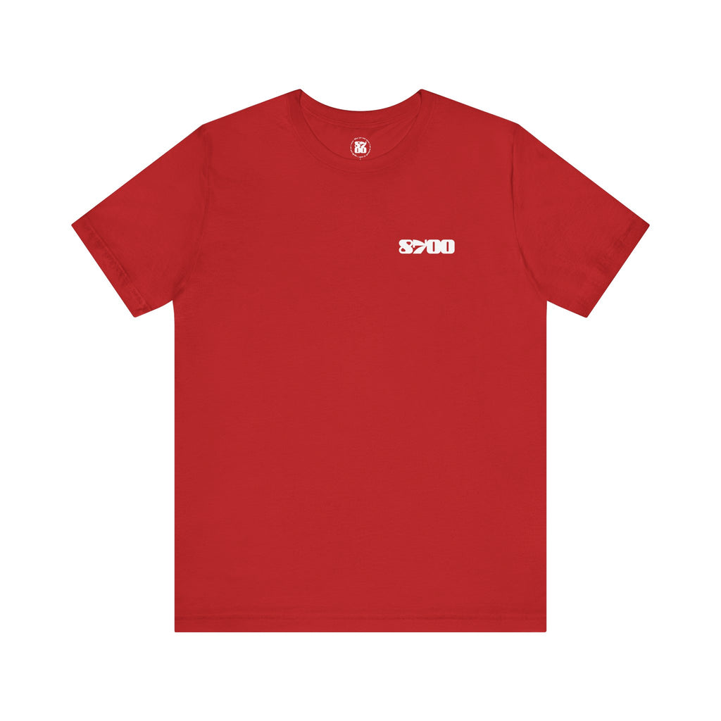 TS-8700.2W