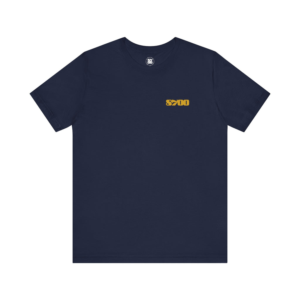 TS-8700.2Y