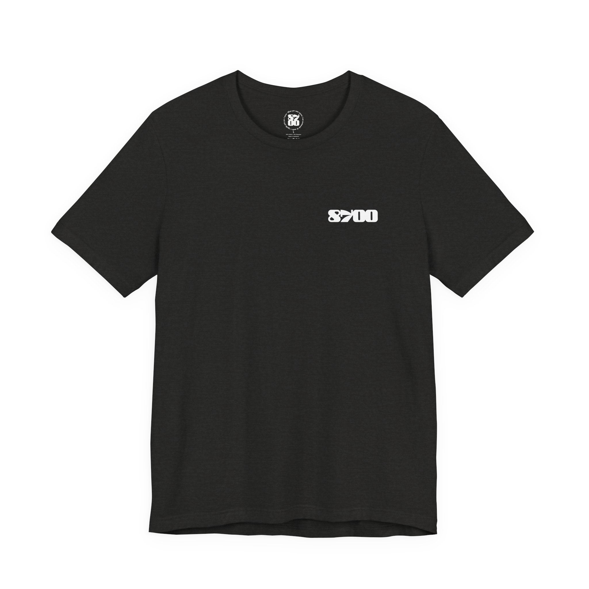 TS-8700.2W
