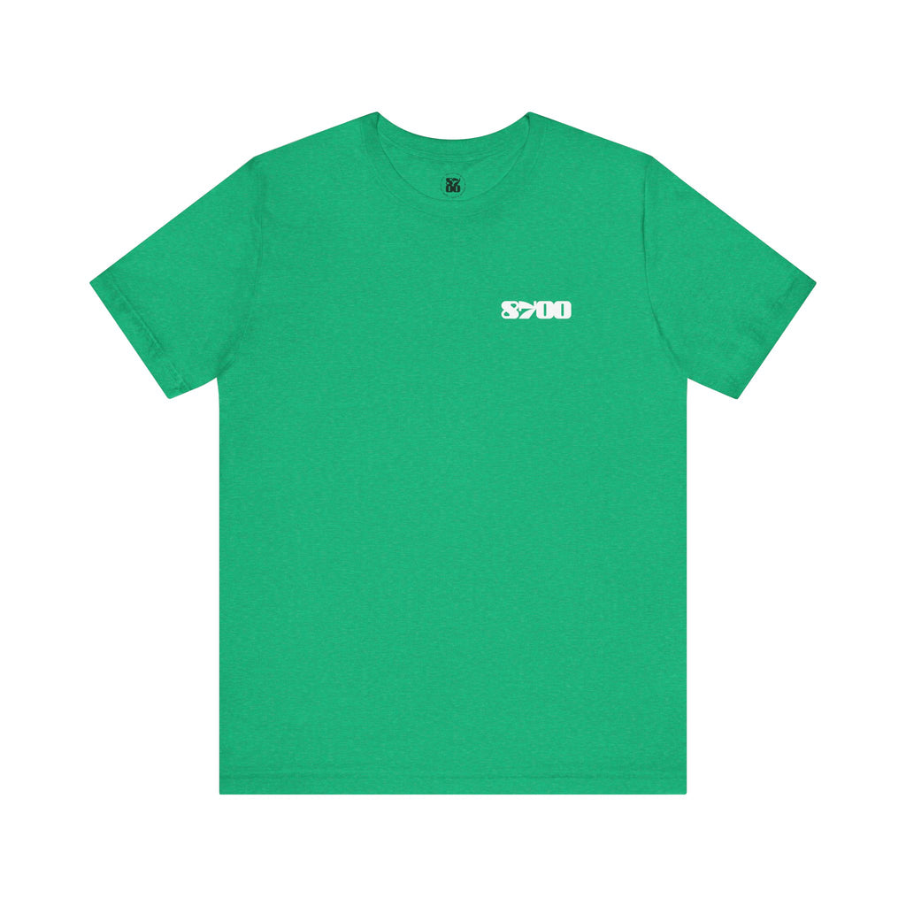 TS-8700.2W