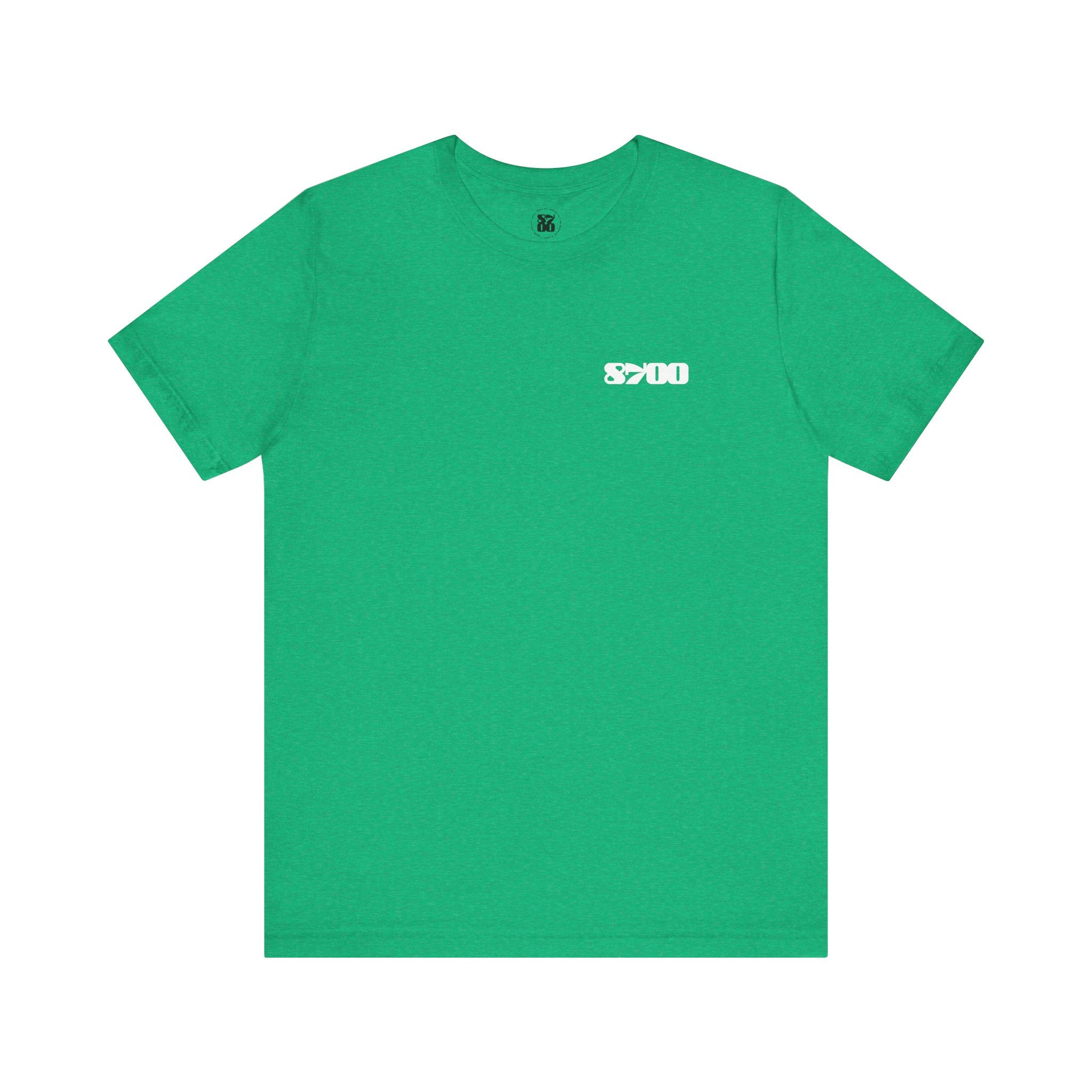 TS-8700.2W