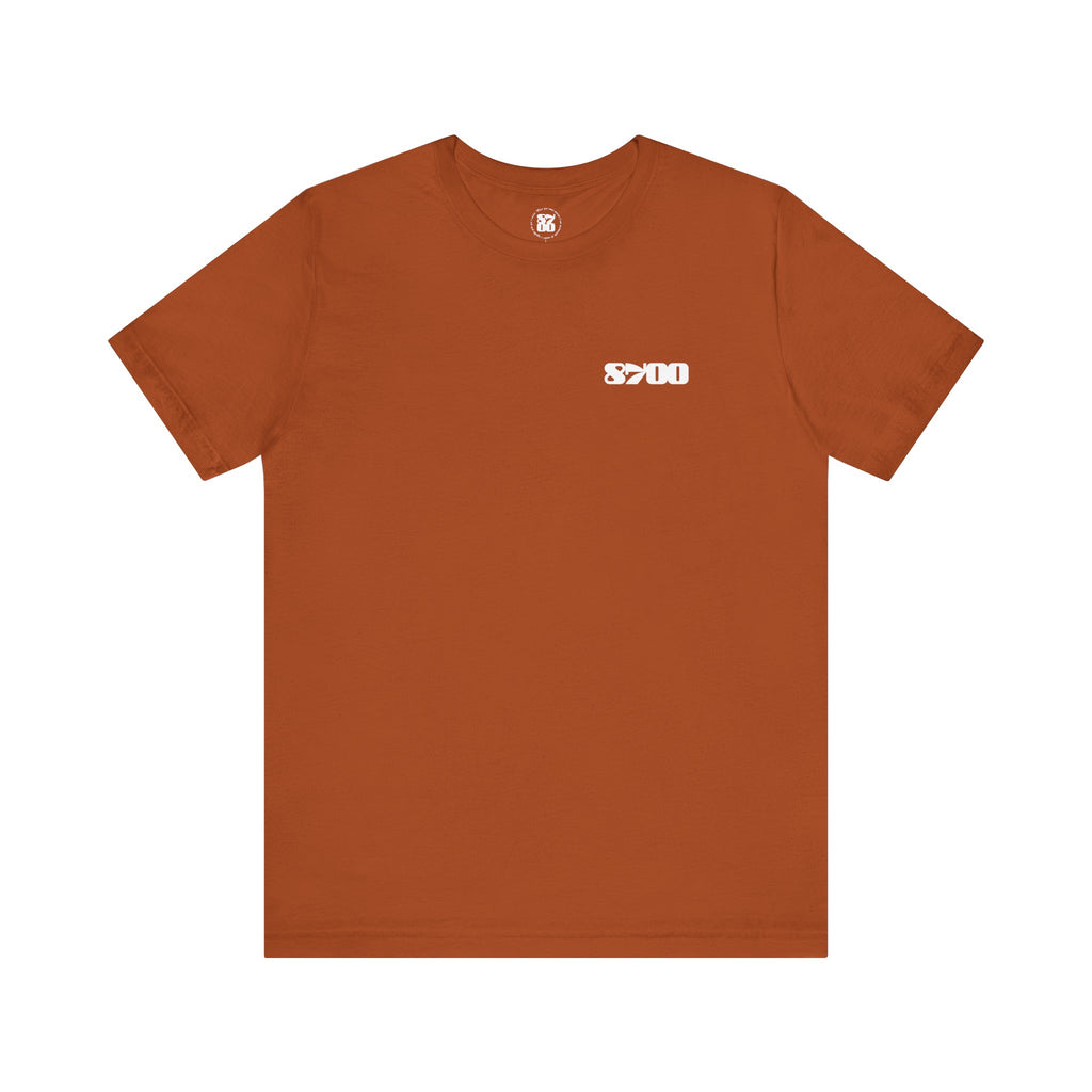 TS-8700.2W