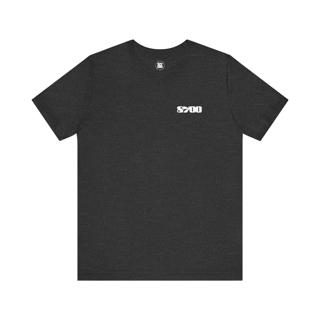 TS-8700.2W