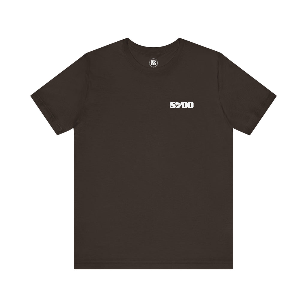 TS-8700.2W