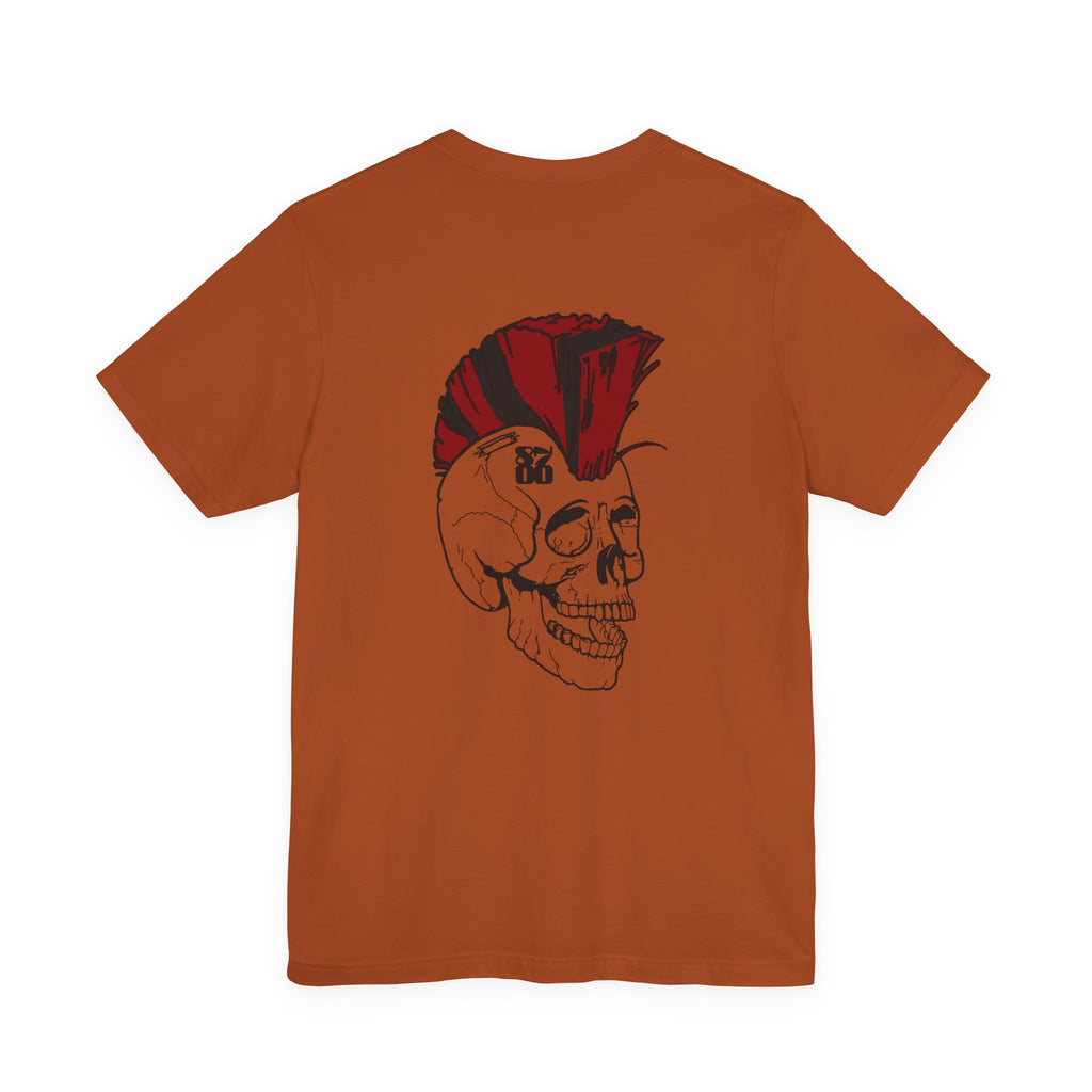TS-OMS.5
