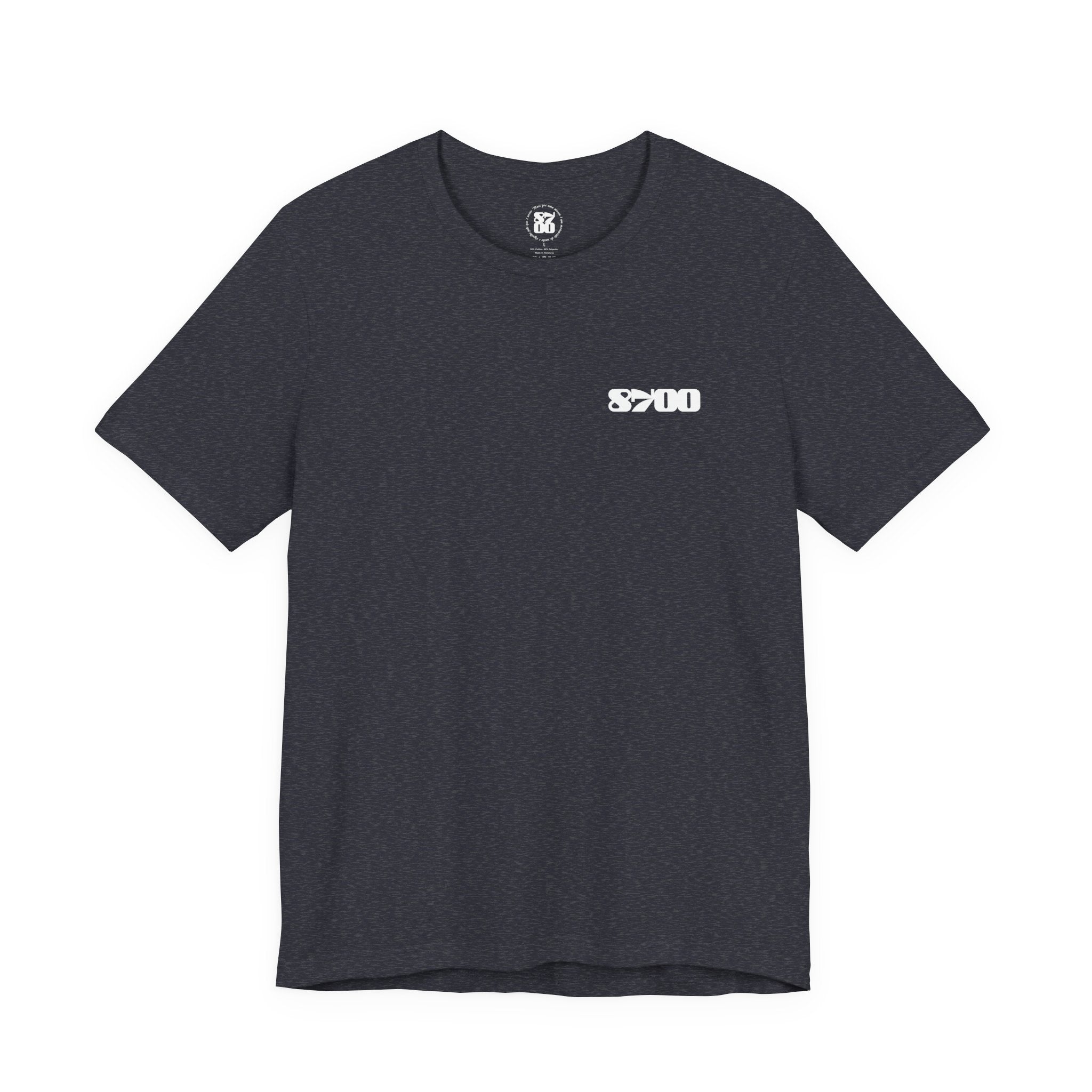 TS-8700.2W