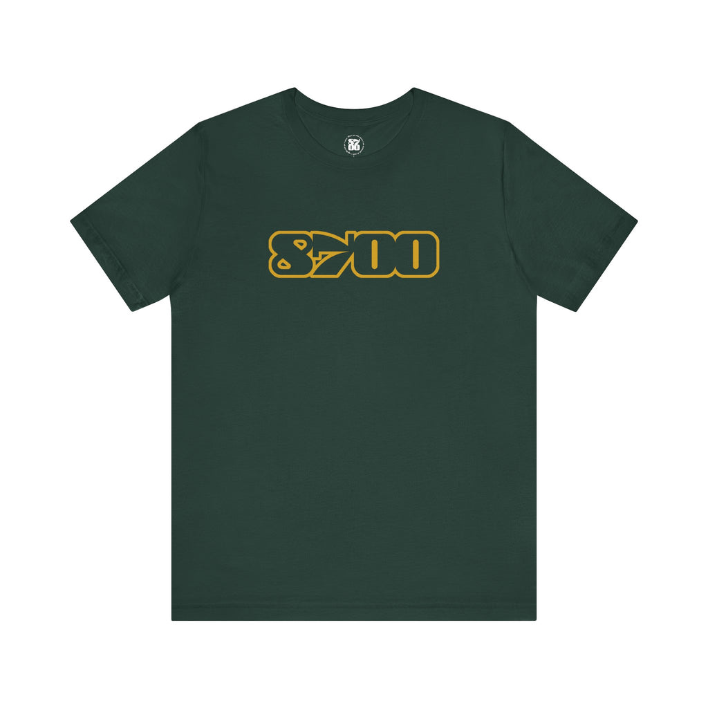TS-8700.3Y