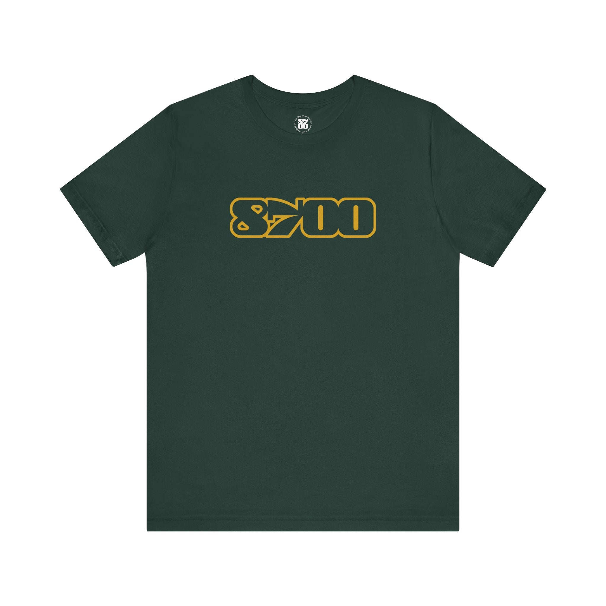 TS-8700.3Y