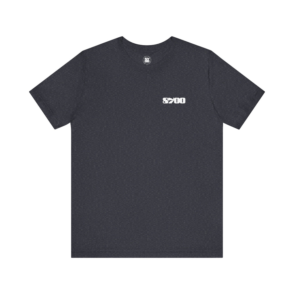 TS-8700.2W