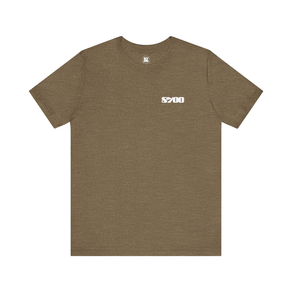 TS-8700.2W