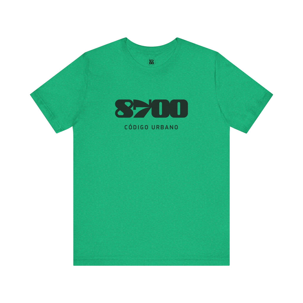 TS-8700.1B