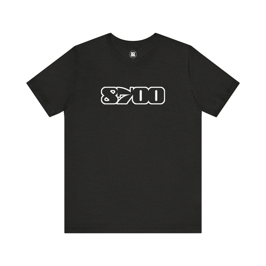 TS-8700.3W