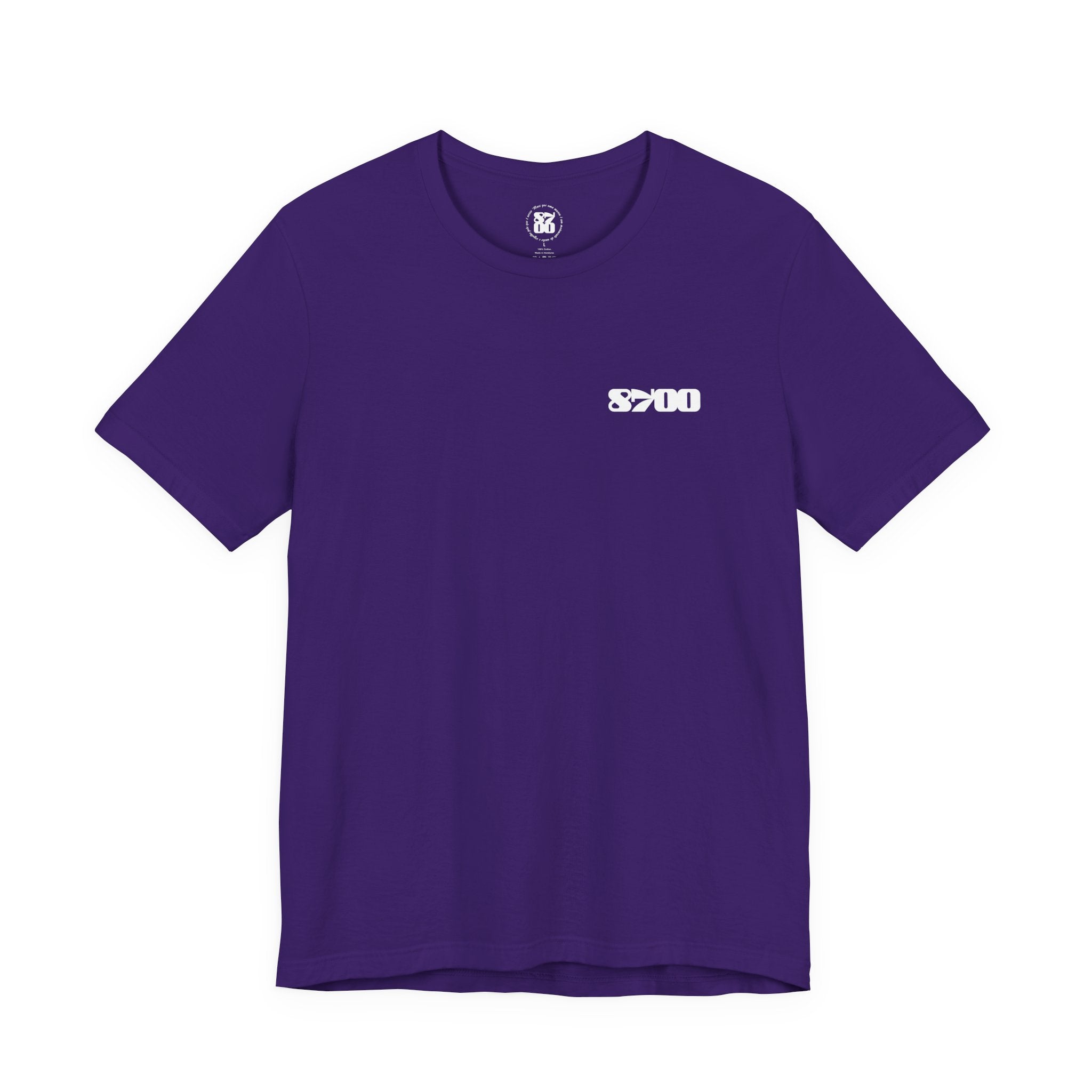 TS-8700.2W