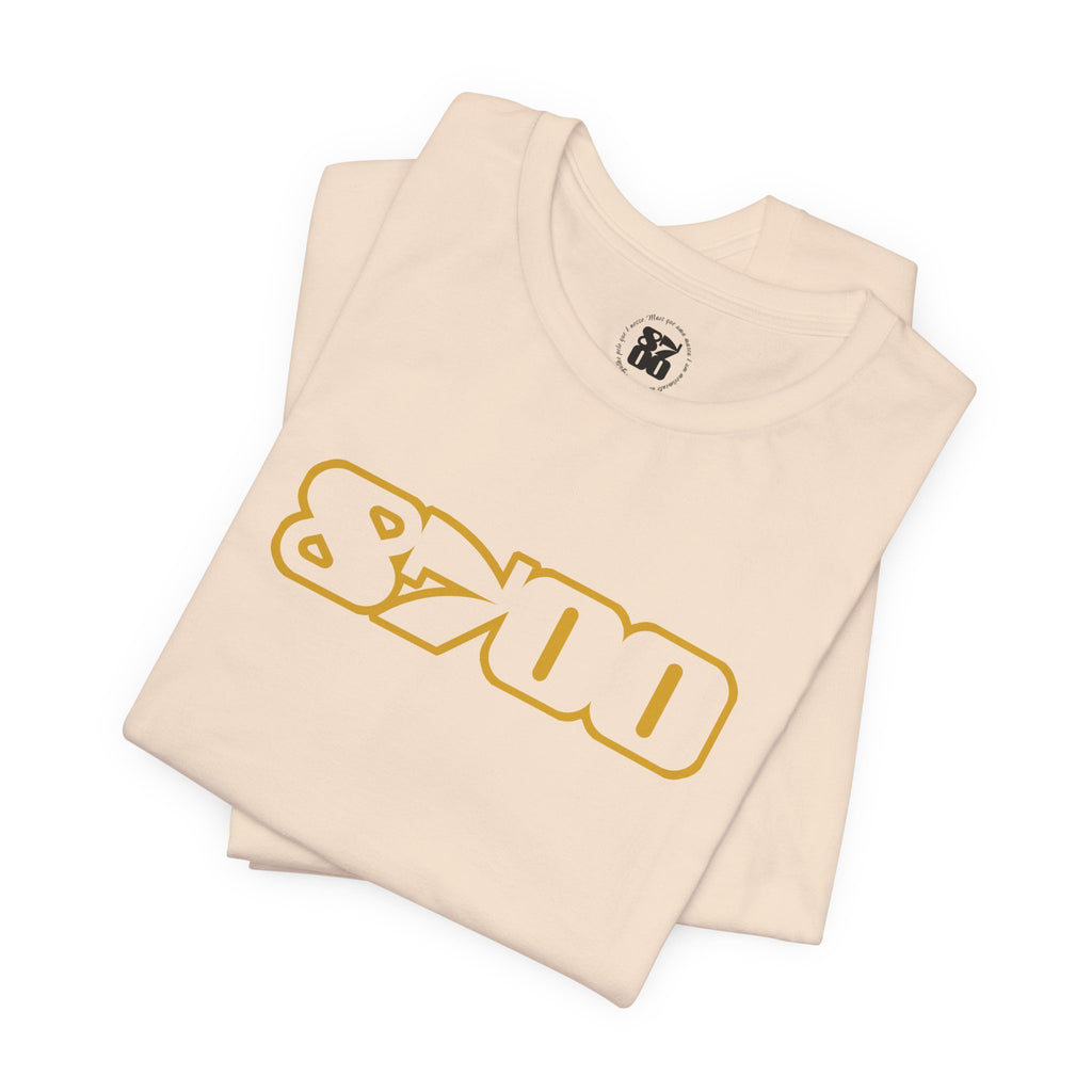 TS-8700.3Y
