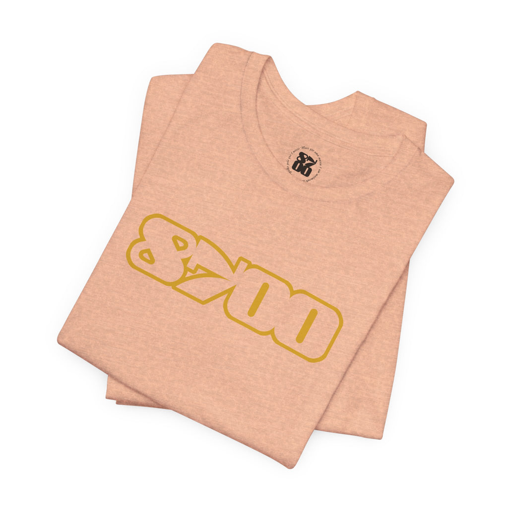 TS-8700.3Y