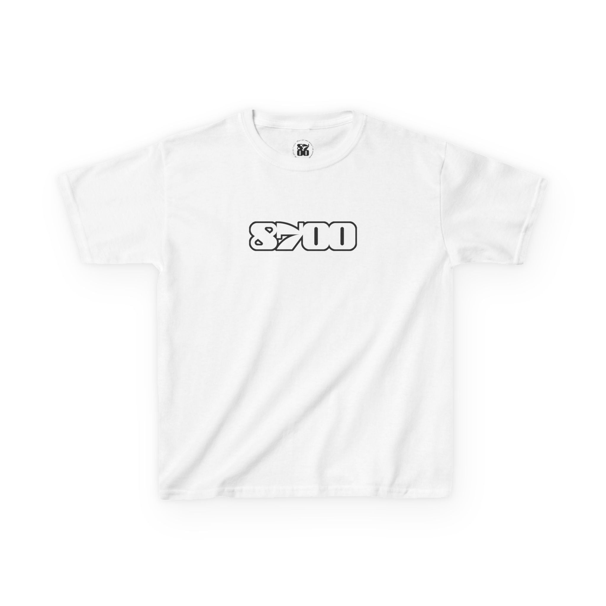 TSk-8700.1