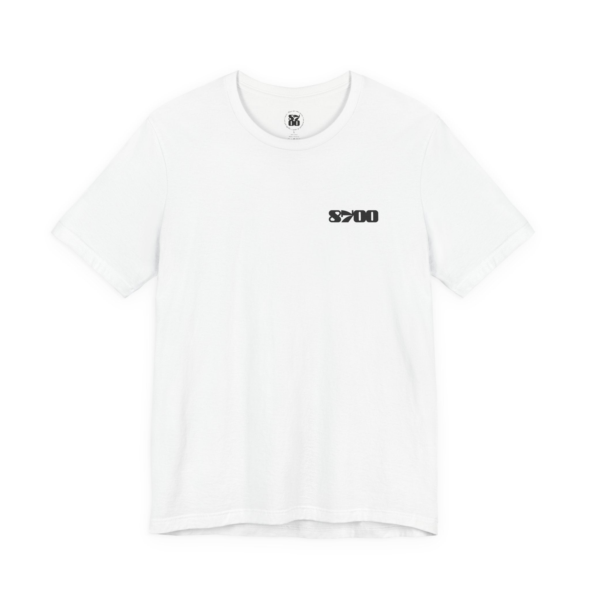 TS-8700.2B