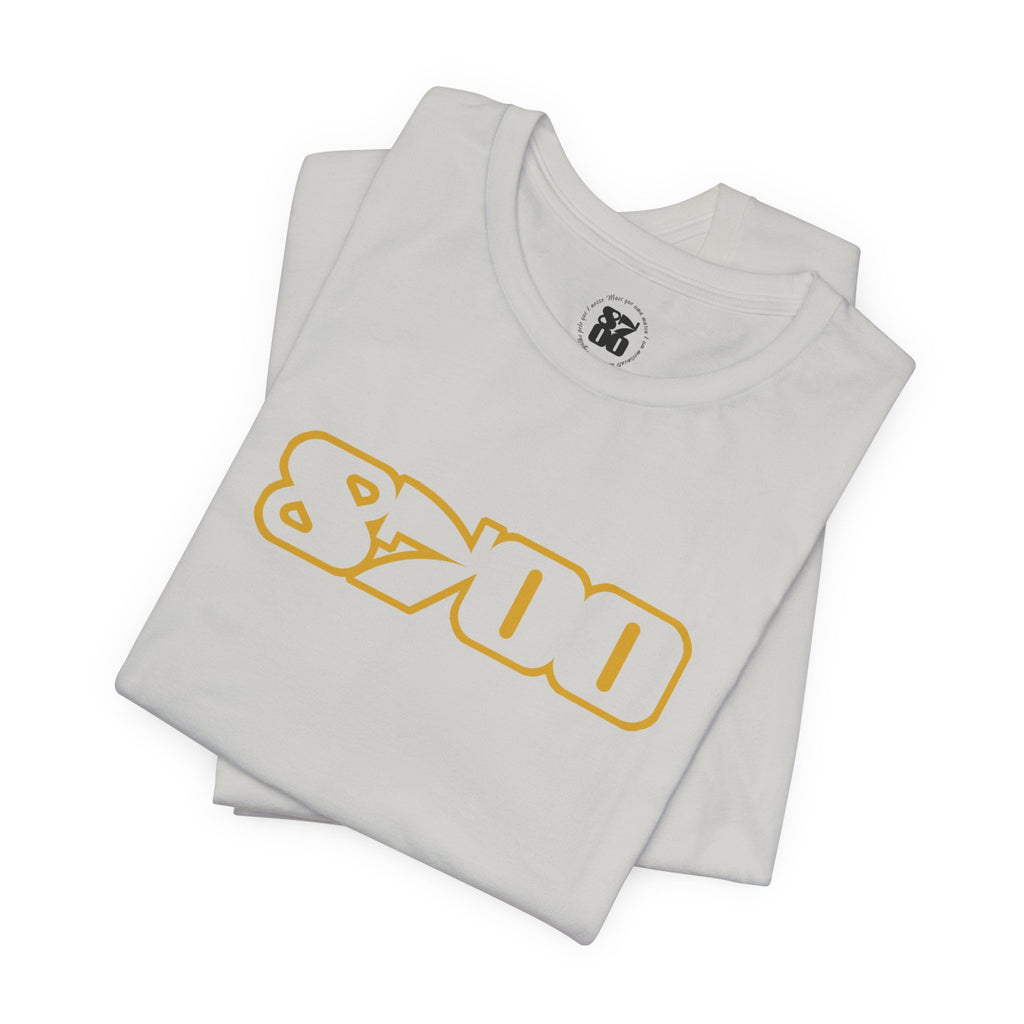 TS-8700.3Y
