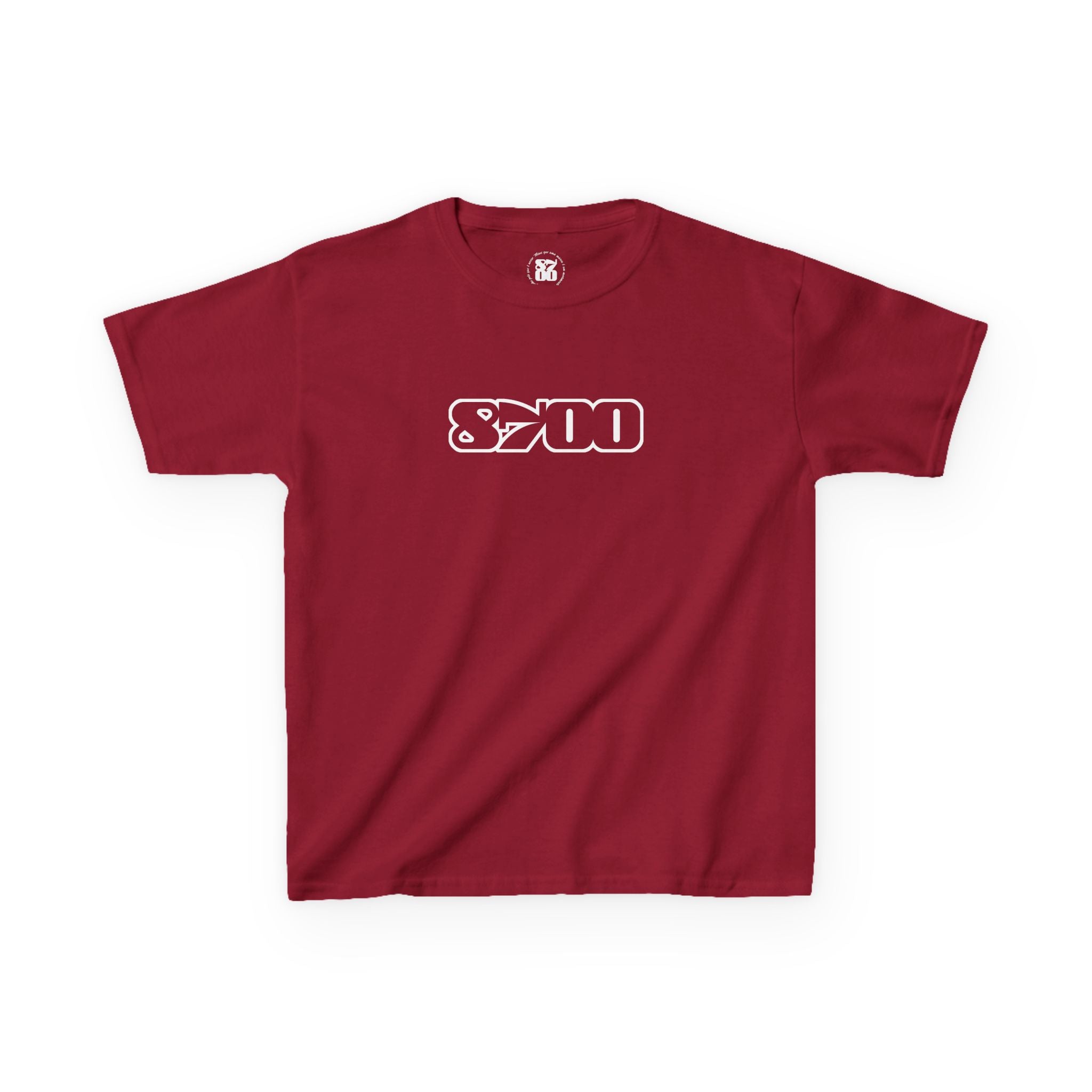 TSk-8700.1