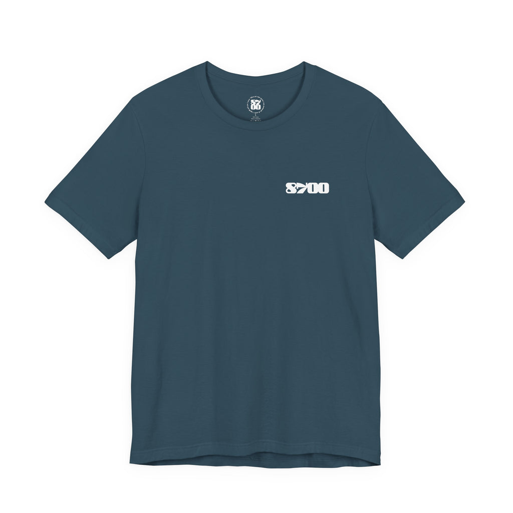 TS-8700.2W