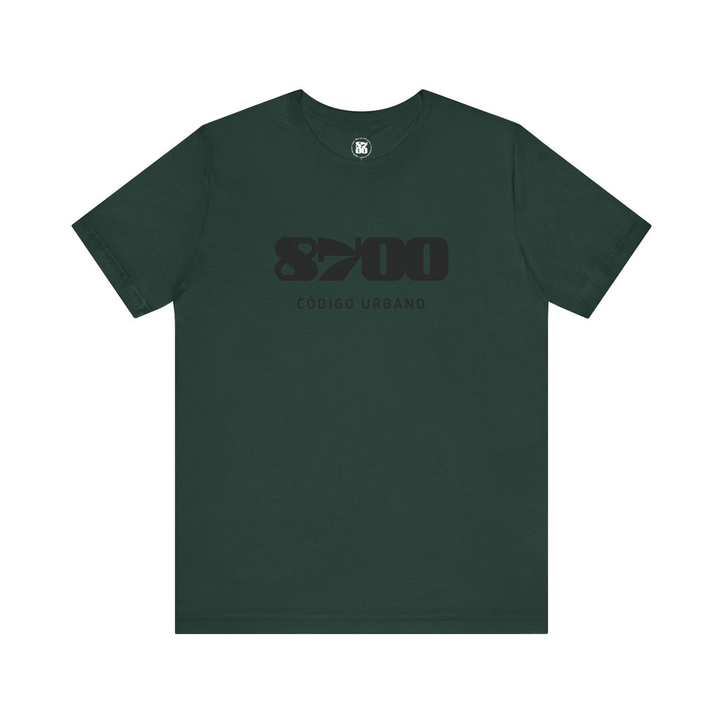 TS-8700.1B
