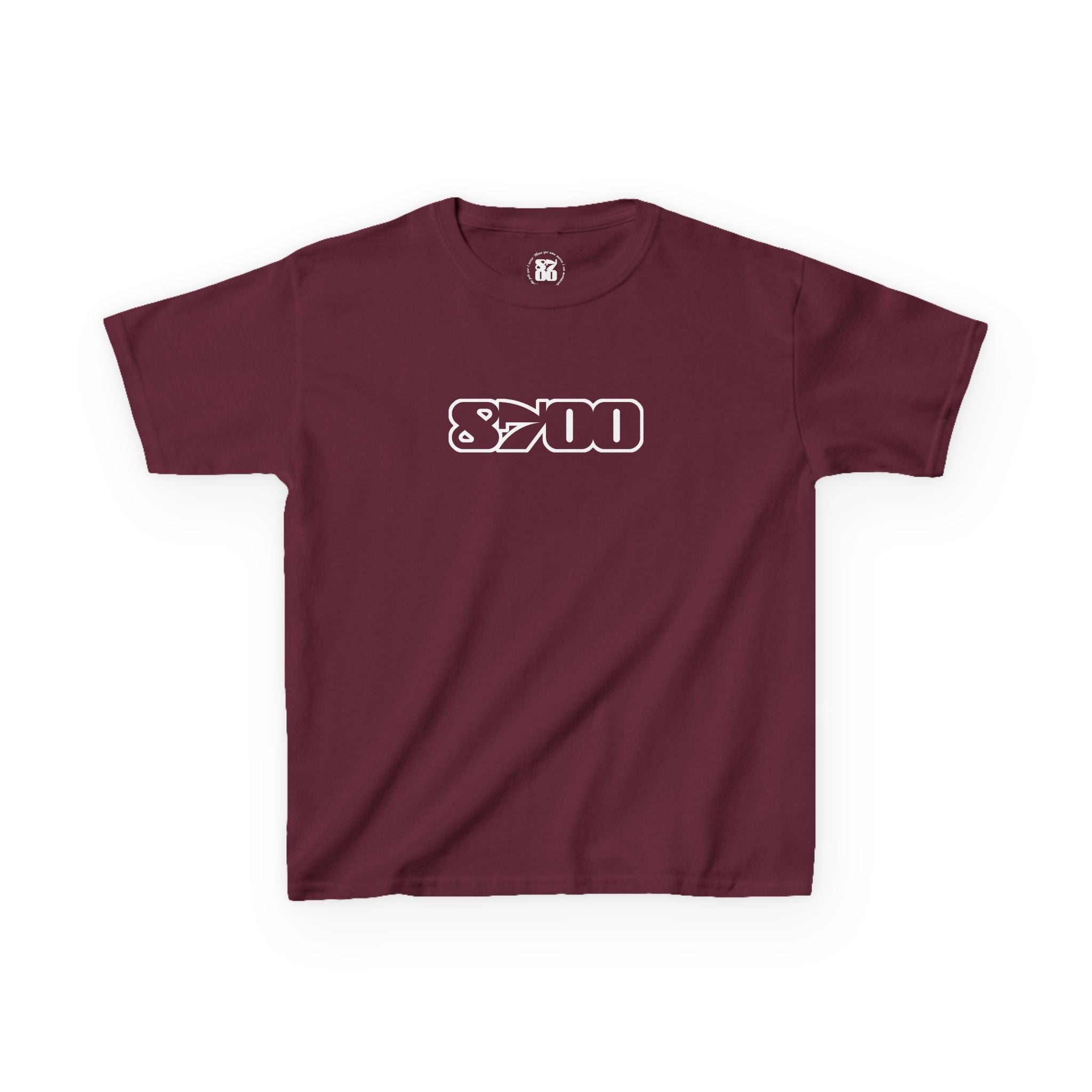 TSk-8700.1