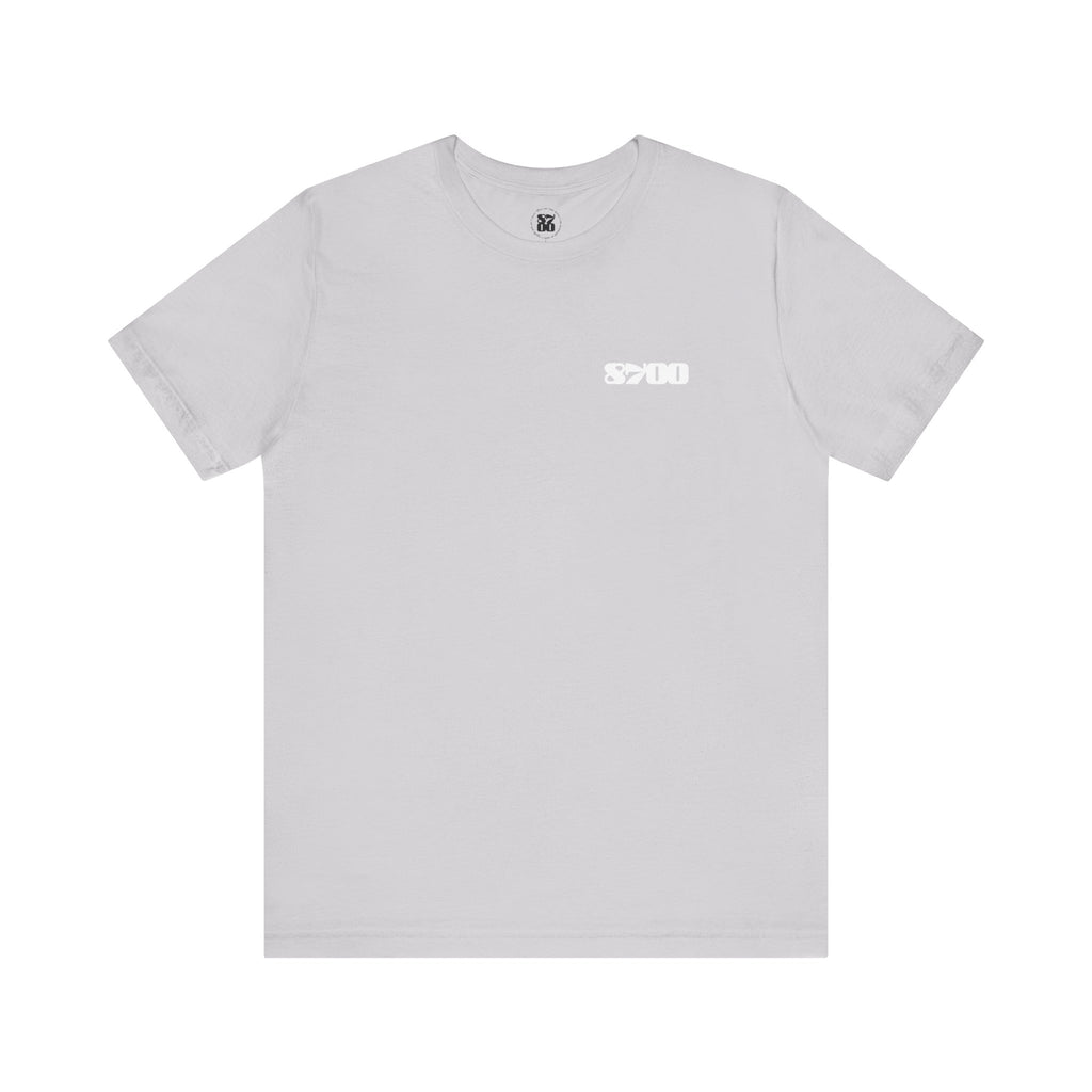 TS-8700.2W