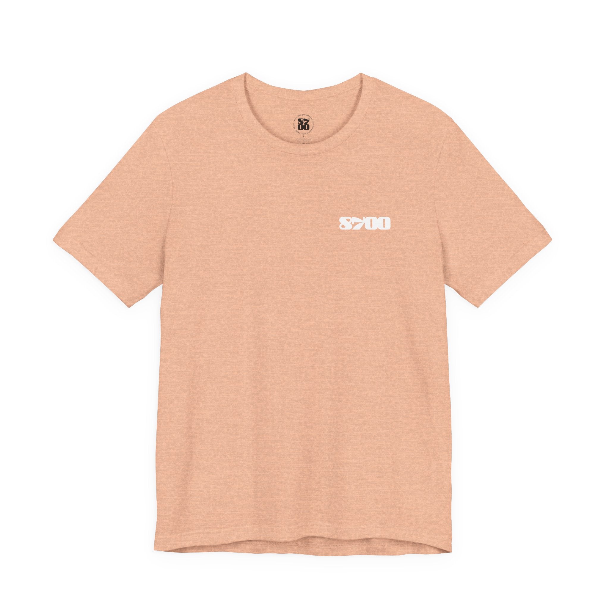 TS-8700.2W