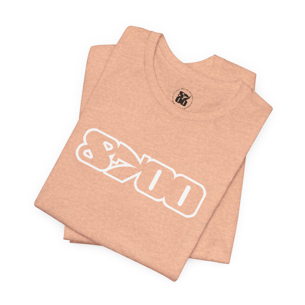 TS-8700.3W