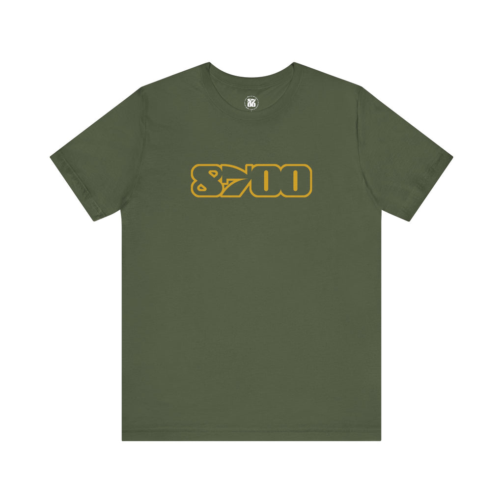 TS-8700.3Y