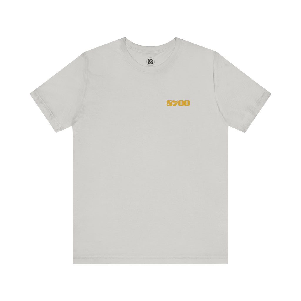 TS-8700.2Y
