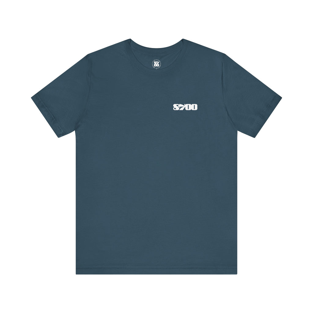 TS-8700.2W